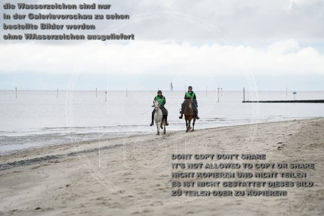 s_K3F04686.JPG